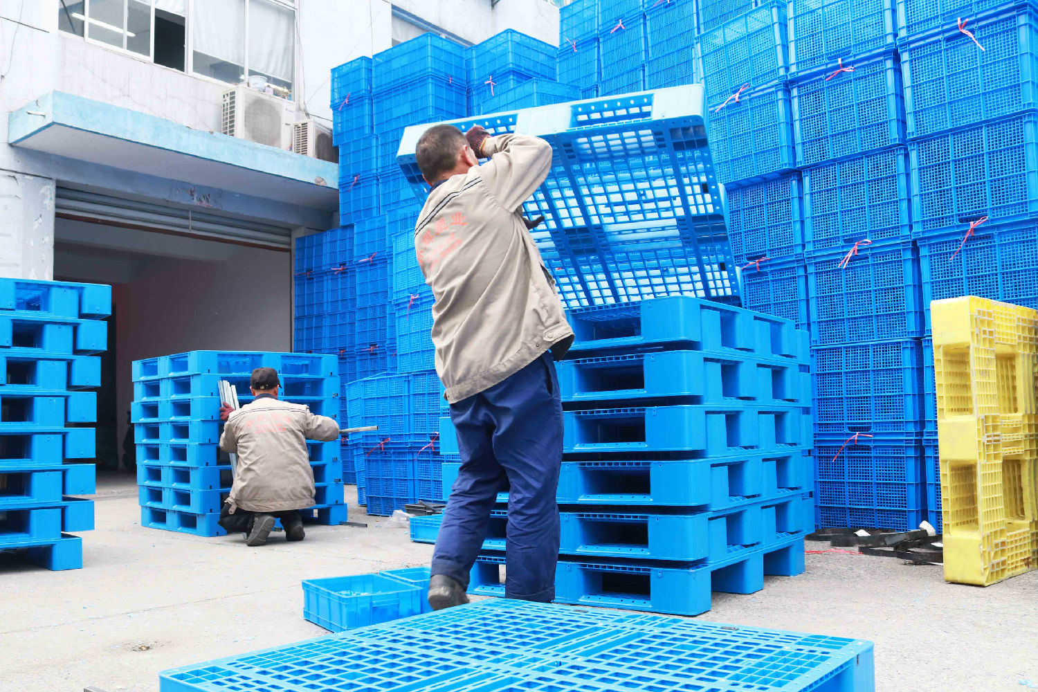 6(用力).jpg 6(用力).jpg