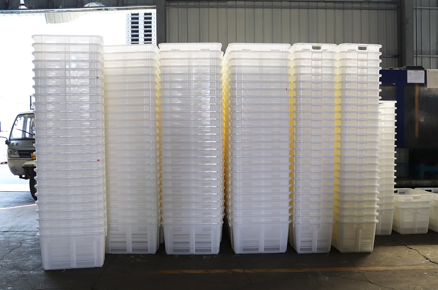 IMG_5300.jpg IMG_5300.jpg