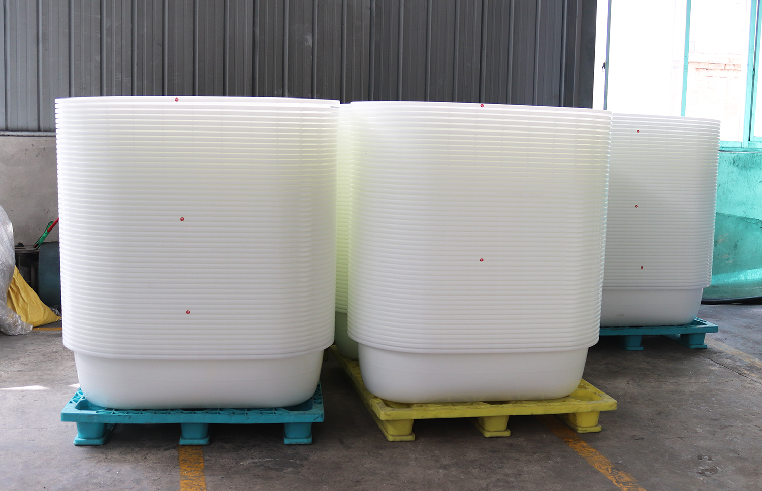 IMG_5304.jpg IMG_5304.jpg