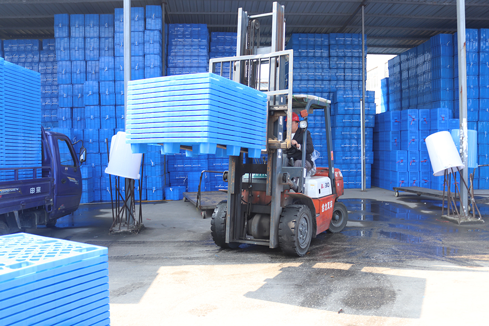 IMG_8088.jpg IMG_8088.jpg